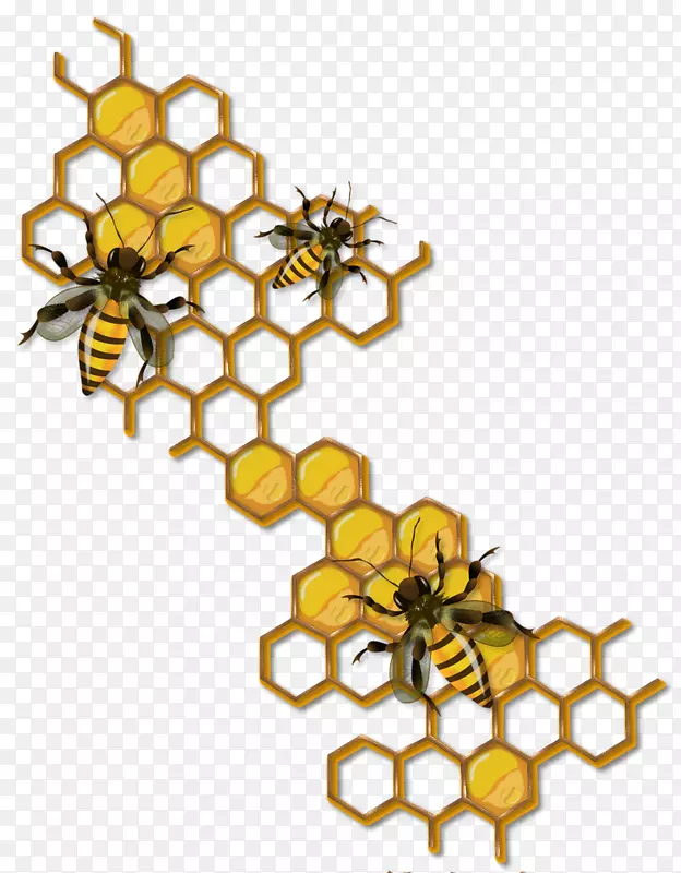 蜜蜂蜂巢画玛雅-蜜蜂