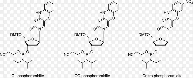 磷酰胺腺嘌呤寡核苷酸合成鸟嘌呤-4-氨基吡啶