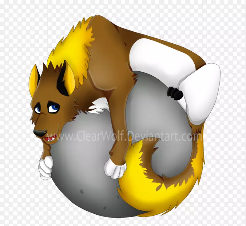 猫狗，犬科，狼和月亮