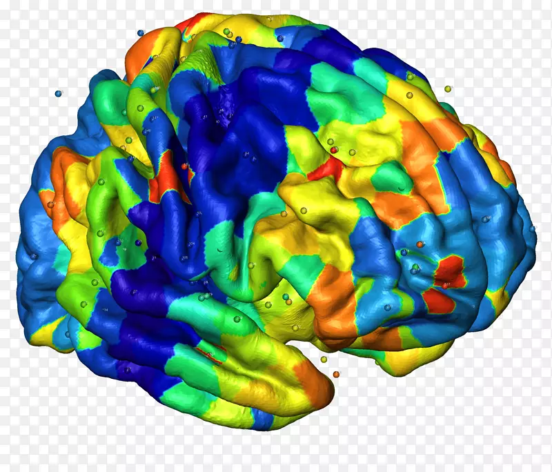 人脑神经成像大脑皮层神经系统-脑