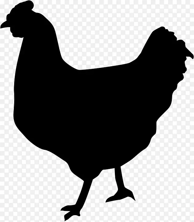 丝绸鸡块鸡作为食物家禽肉