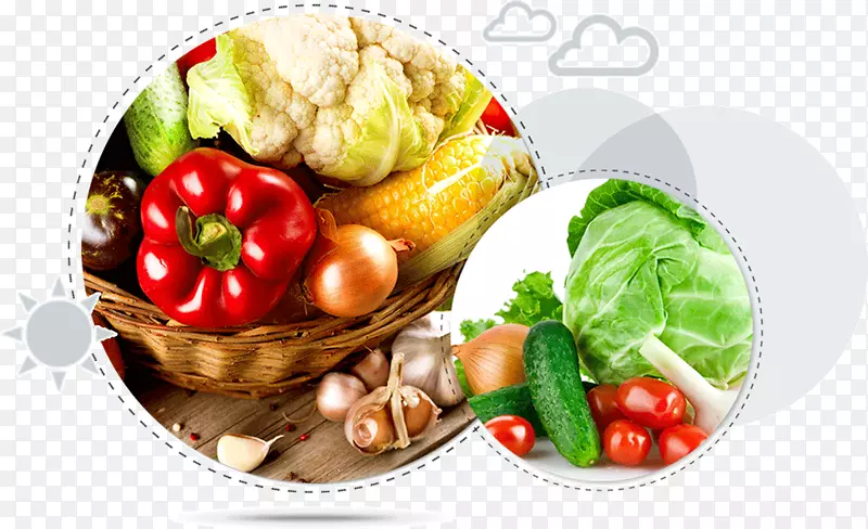 蔬菜素食食物营养奥格里斯-蔬菜