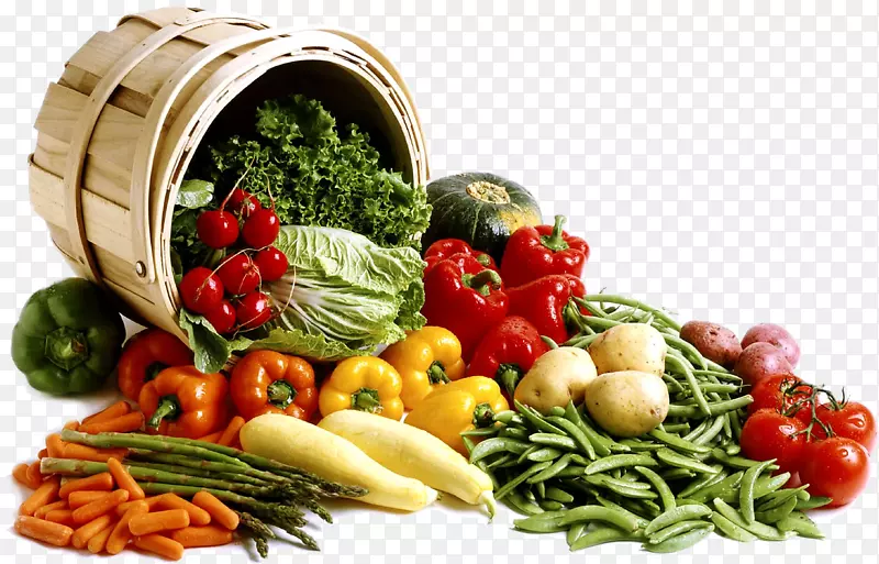 素食菜肴亚洲菜多萨食物可持续性-健康