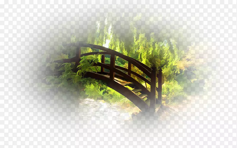 桌面壁纸特写设计