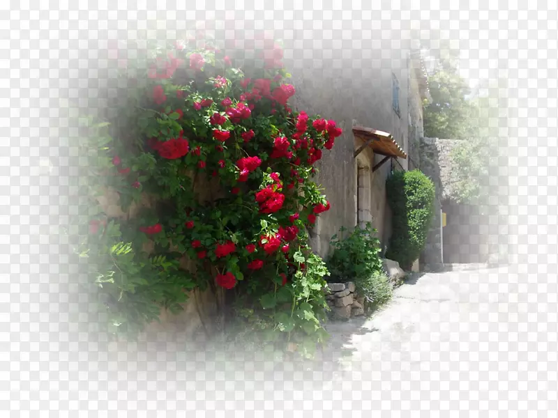 中世纪花园玫瑰酒庄城市历史