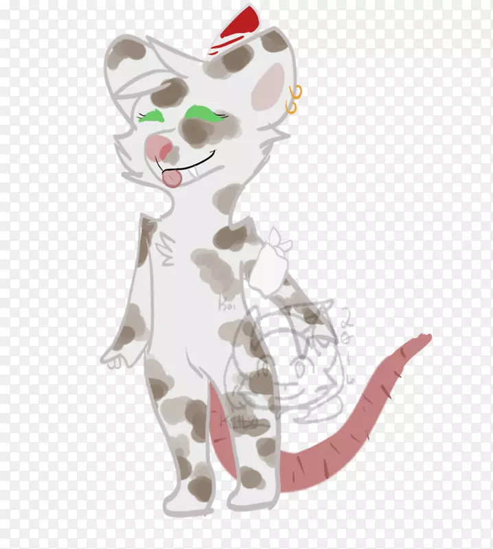 胡须猫狗犬科猫