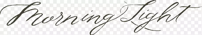 字体：Palatino字体，Stempel型铸造字体-婚礼灯