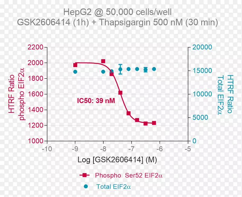eIF 2磷酸化真核翻译起始因子2-α激酶1分析细胞-放射免疫沉淀试验缓冲液