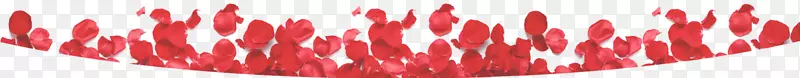 Polkagris特写线字体线