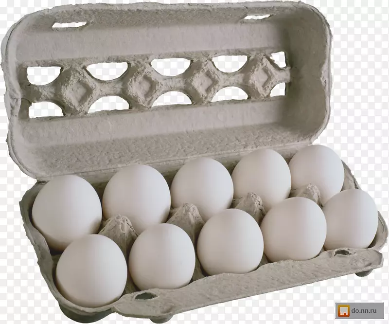 蛋鸡图像分辨食物