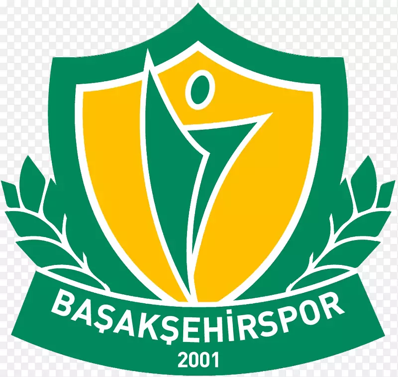 İstanb başAKşehir f.k.体育协会柔道足球