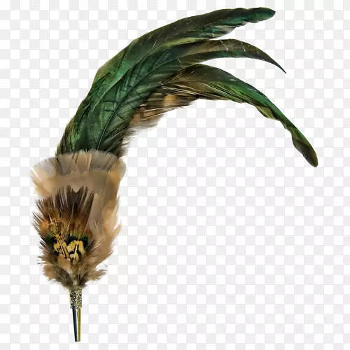 羽毛艺术-羽毛