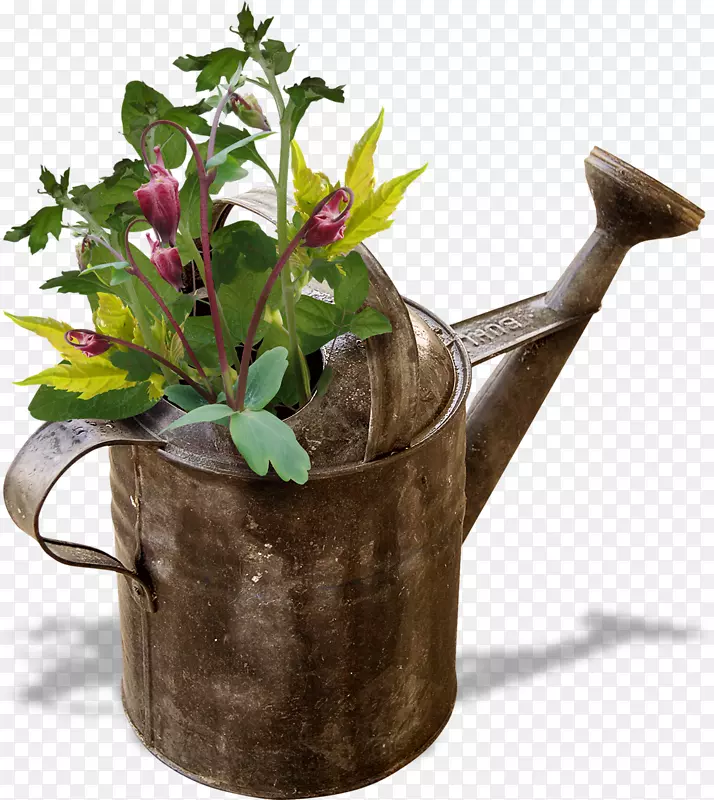 浇水罐园艺花盆-杜布纳