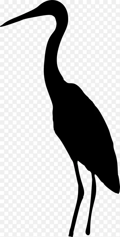 大蓝鹭鸟动物轮廓-鸟
