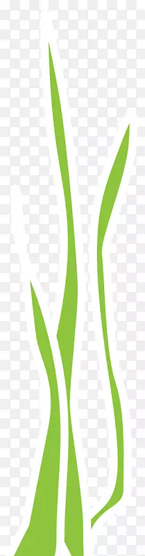 绿叶草植物茎夹艺术-诺里海藻