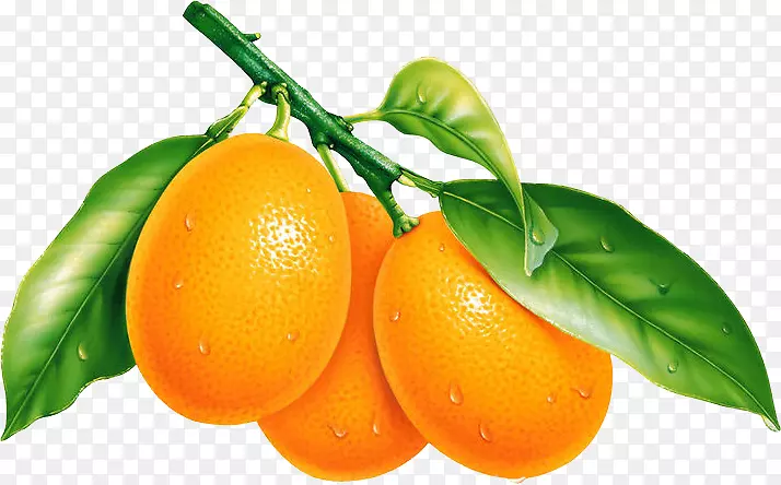 水果桌面壁纸橘黄色