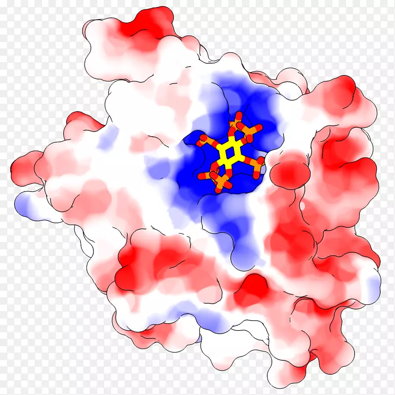 UCSF嵌合体静电蛋白折叠电位Ramachandran图-孟蒙