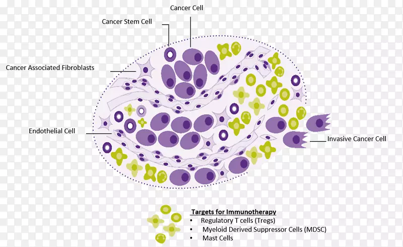 基底细胞癌鳞状细胞皮肤癌Mohs手术-生物药物