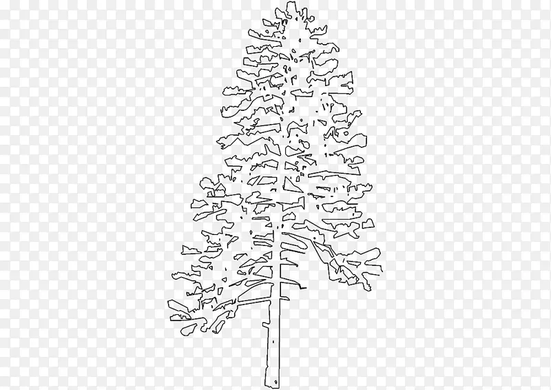 杉木云杉圣诞树枝条线艺术树素描