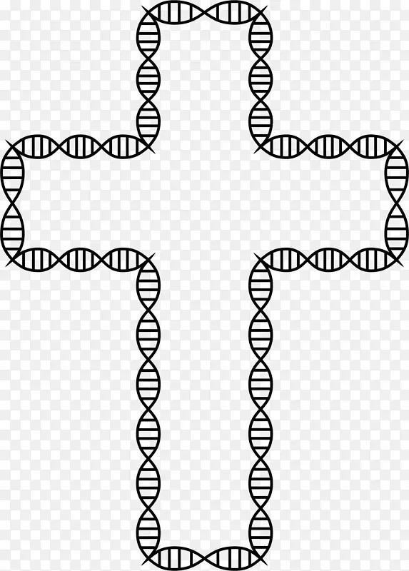 DNA-dna杂交核酸双螺旋基因生物学-dna