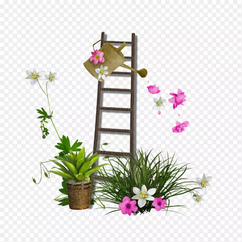 浇水罐园艺花盆陶瓷.楼梯
