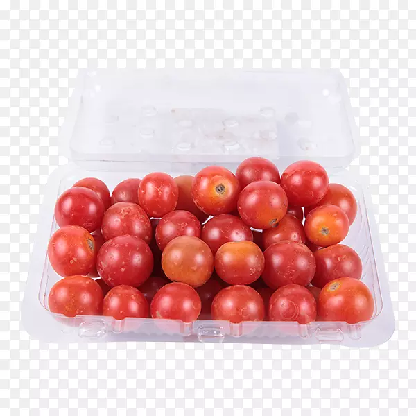 李子番茄灌木番茄樱桃番茄名优番茄蔬菜