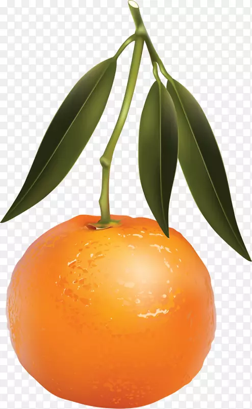 克莱门汀橘子橙汁