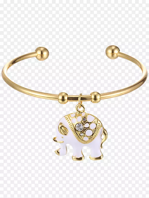 耳环，手镯，珠宝，魅力和吊坠，仿制宝石和莱茵石.日间大象保护