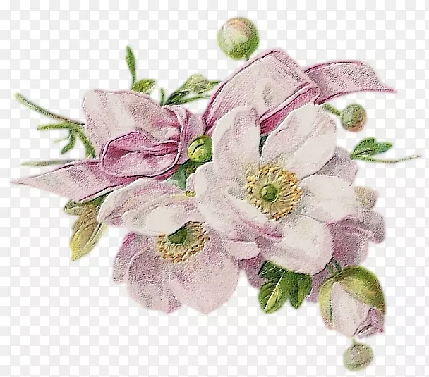 花卉设计Bokm rke绘画-花