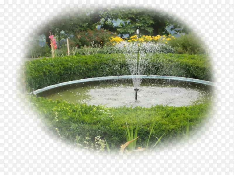 水资源池水特色草坪花园元素