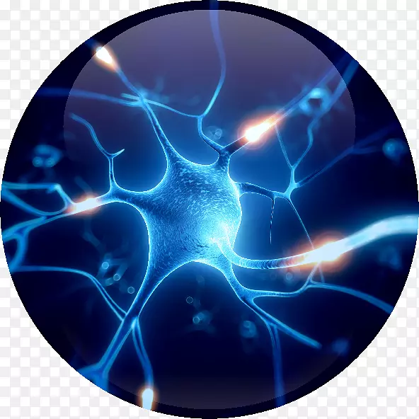 神经元神经系统变性突触脑