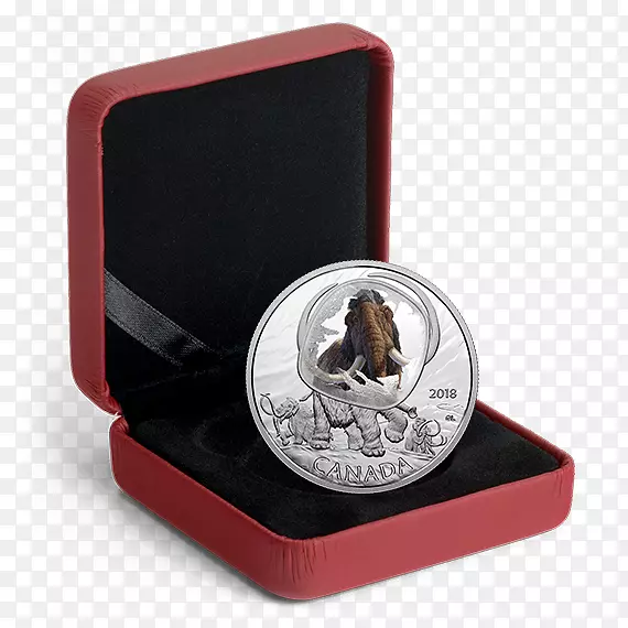 加拿大银币美元硬币-加拿大