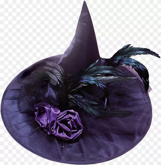 女巫帽羽毛紫色服装-羽毛