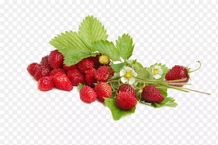 野草莓甜酒-草莓