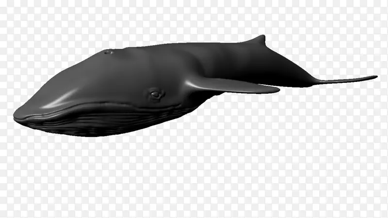 海豚甲壳动物蓝鲸三维计算机图形自动桌面3ds max-海豚