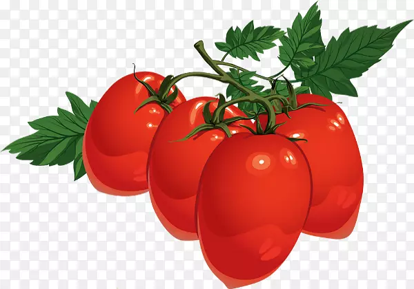 番茄汁樱桃番茄包装的后记食品-番茄绘图