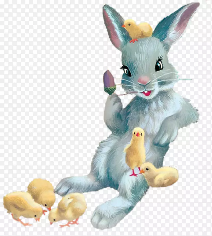 家养兔子复活节兔子马汀兔