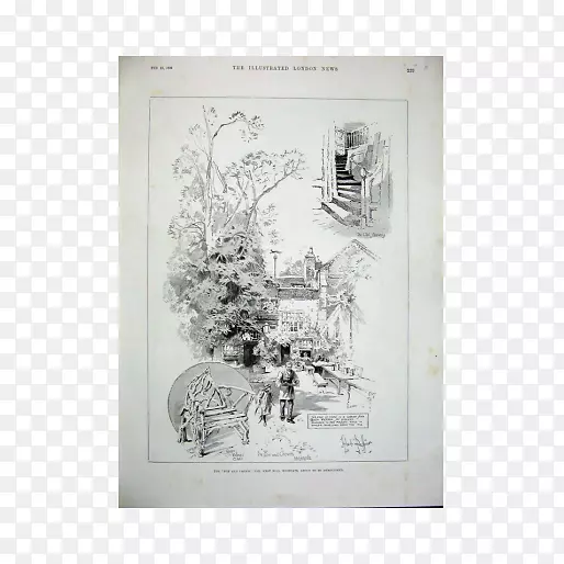 高格画框绘图印刷-女士王冠