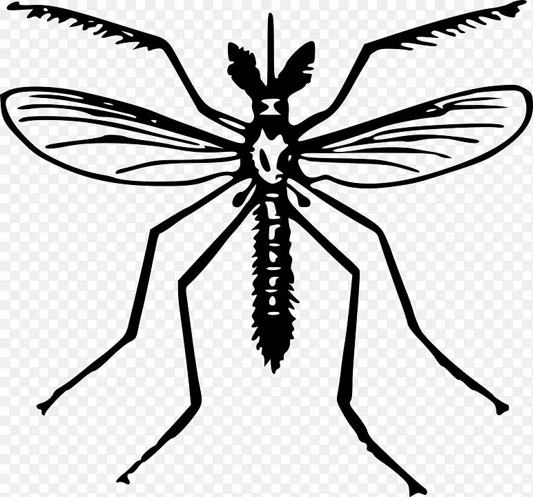蚊虫飞夹艺术-蚊子