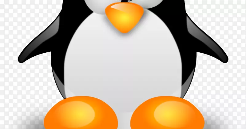 Linux：终极初学者指南！安装linux内核操作系统