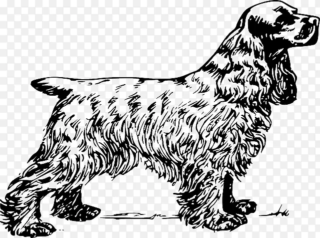 英国小猎犬夹狗夹艺术-猎犬小狗