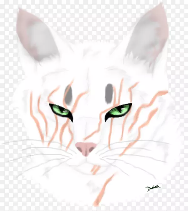 胡须猫，家庭短毛猫战士-左眼