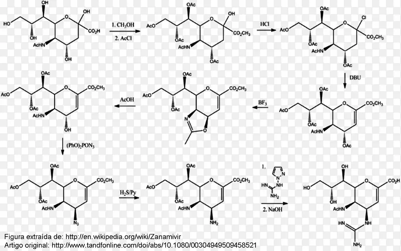 化学性猪流感神经氨酸酶病毒神经氨酸酶