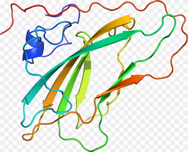 线点生物剪贴画线