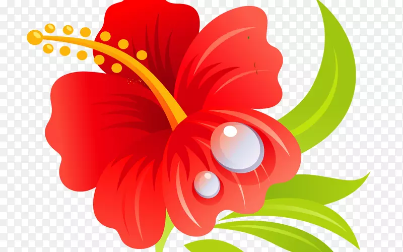 夏威夷木槿月季艺术插花