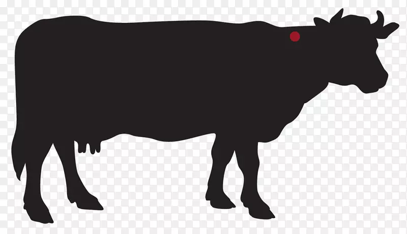 高地牛，小牛，肉牛，乳牛-牛奶