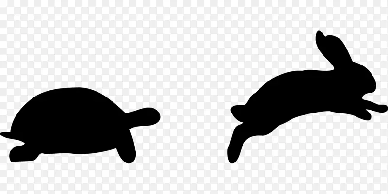 乌龟和野兔雪蹄兔龟夹艺术乌龟