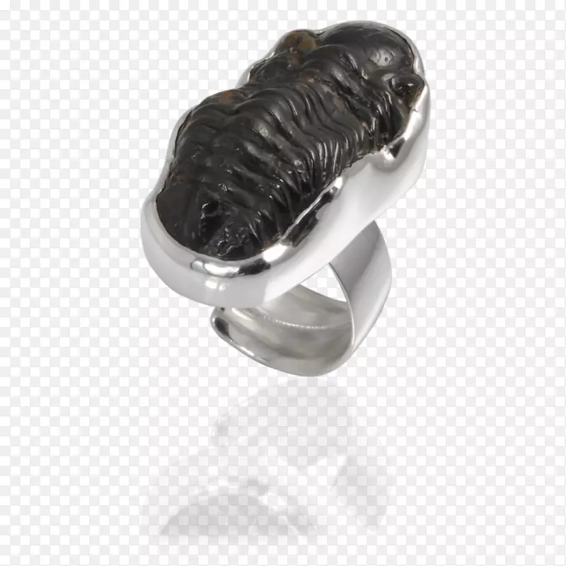 耳环宝石化石珠宝戒指