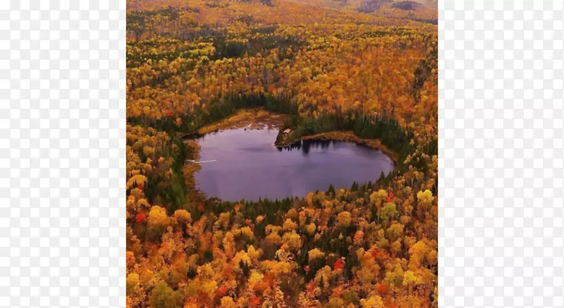 魁北克市心湖水獭湖加拿大亚瑟巴斯卡州自治市-生锈湖天堂