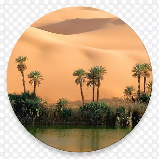利比亚沙漠绿洲景观-沙漠